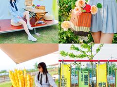 -上海山野camping·户外天幕烧烤·团建拓展营地