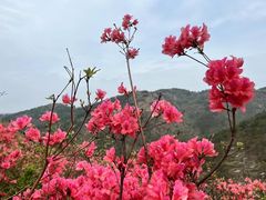 -木兰云雾山
