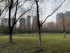 -汉江湾体育公园