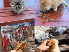 -终南山南五台景区