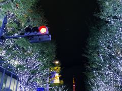 -六本木新城展望台(东京城市景观)