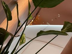 -星叶·东南亚料理(宁波万象汇店)