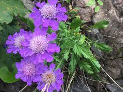 -白草畔自然风景区