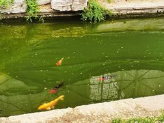 -三里河公园