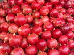 -新疆国际大巴扎