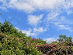 -水煮鱼乡·川京菜(蛇口店)