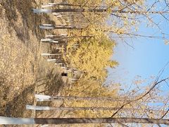 -东升八家郊野公园