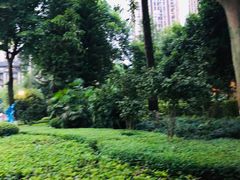 -龙头寺公园