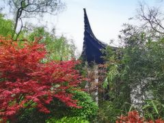 -君庭中餐厅(友谊宾馆店)