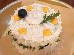 -野草莓自由市场