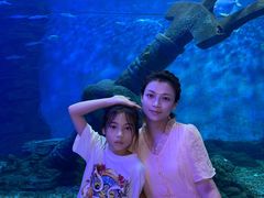 -多彩贵州城极地海洋世界