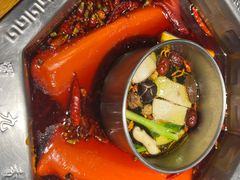 -蜀九香火锅(九眼桥店)