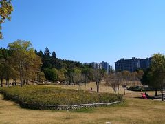 -牛岗山公园