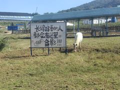 -金石滩蓝莓谷庄园