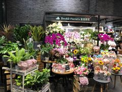 -豆豆花艺(新光天地店)