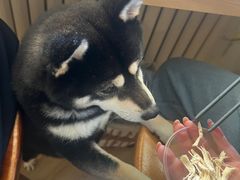 -柴の食堂·日式家庭料理·熊之肆(大学路店)