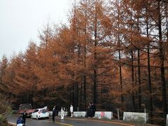 -沣峪口