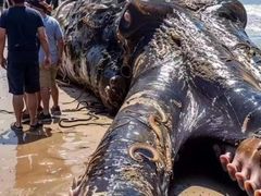 -卤来丫·现捞热卤(恒大城店)