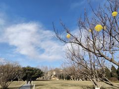 -春晖园度假酒店温泉