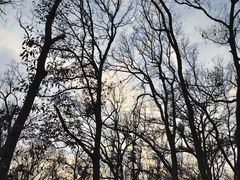 -头陀岭景区