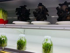 -番食园鲜食火锅(高新店)
