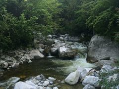 -陕西省红河谷森林公园