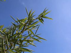 -安徽省地质博物馆