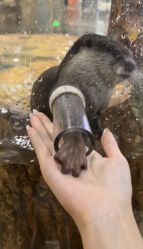 -Zoolung Zoolung动物主题公园(海信广场店)