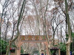 -灵谷景区