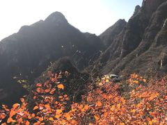 -十渡东湖港风景区