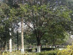 -莲湖公园