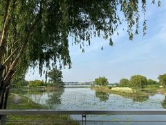 -北龙湖湿地公园