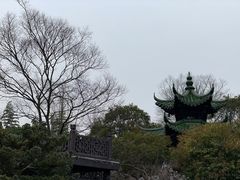 -南山翁新概念川菜(江宁万达广场店)