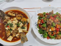 -煲来饱去冷水鱼