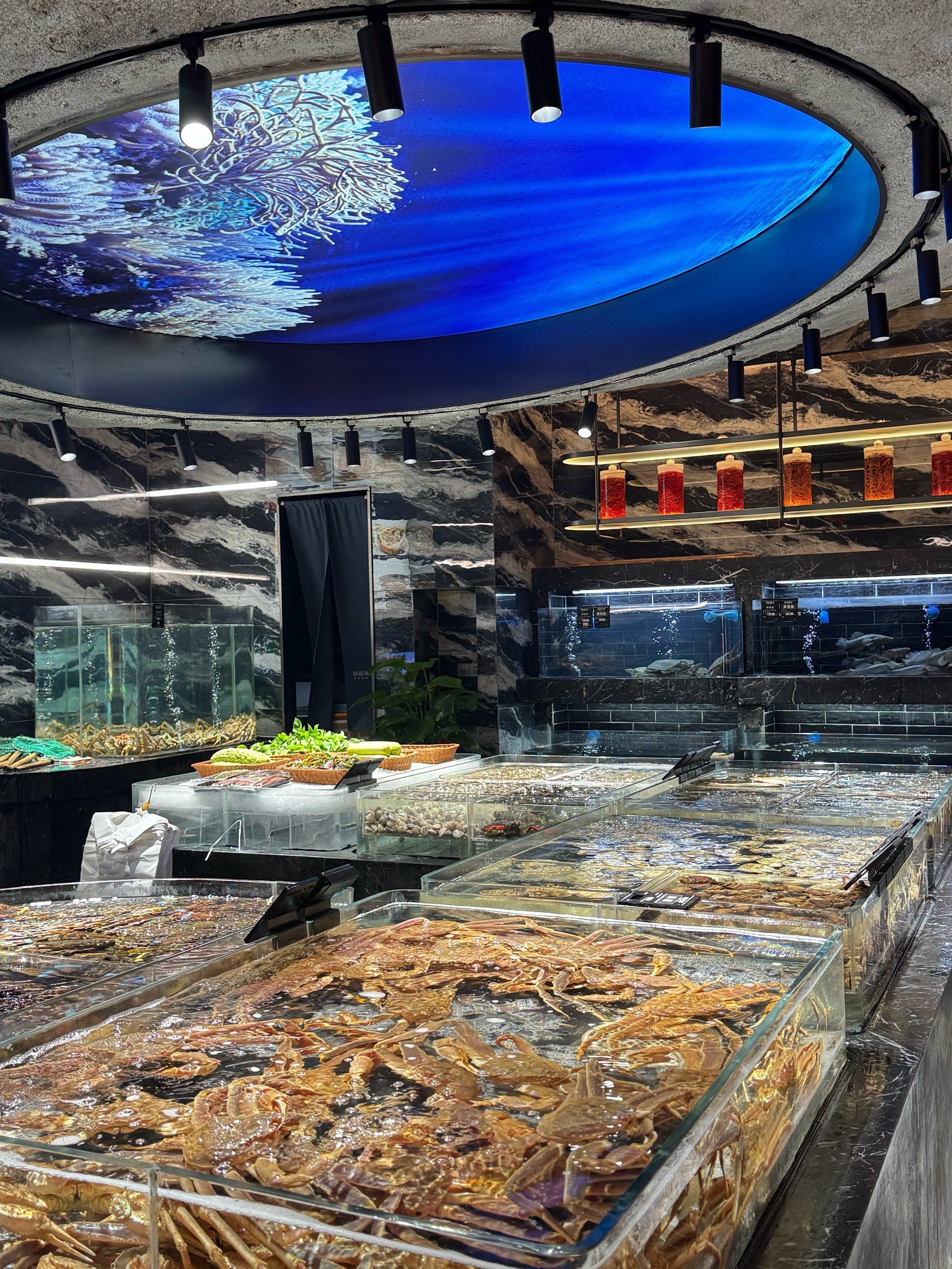 长沙‼️海鲜控必打卡的 臻品海鲜e族🦞