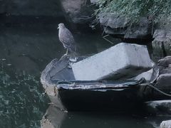-月湖公园