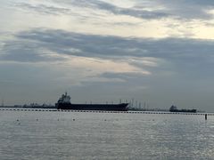 -圣淘沙天际线斜坡滑车
