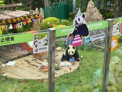 -大连森林动物园