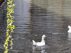 -西安汉城湖景区