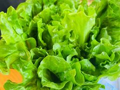 -醉月城西昌火盆烧烤(天府店)