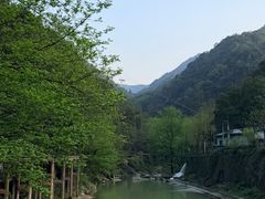 -泽雅七瀑涧景区