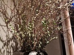 -山里亲戚(淞虹路店)