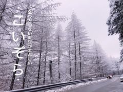 -秦岭风景区