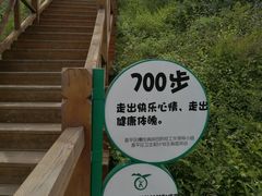 -大岭沟猕猴桃谷风景区