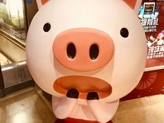 -宏利土菜馆(马山店)