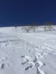 -大秃顶子山