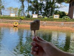 -侯臣咖啡文化村