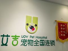-艾吉宠物医院·疑难杂症转诊中心·猫友好(碧江路院)