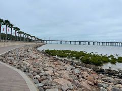 -宝安西湾红树林湿地公园