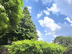 -麦里芝蓄水池